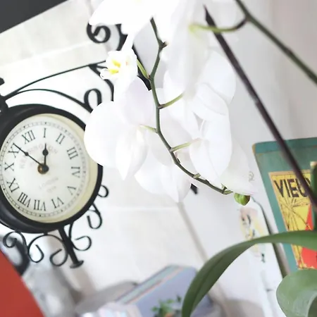 Lauriers Splendide Provencale Charming With Jacuzzi At 200m From Beaches Of Juan Βίλα Αντίμπ